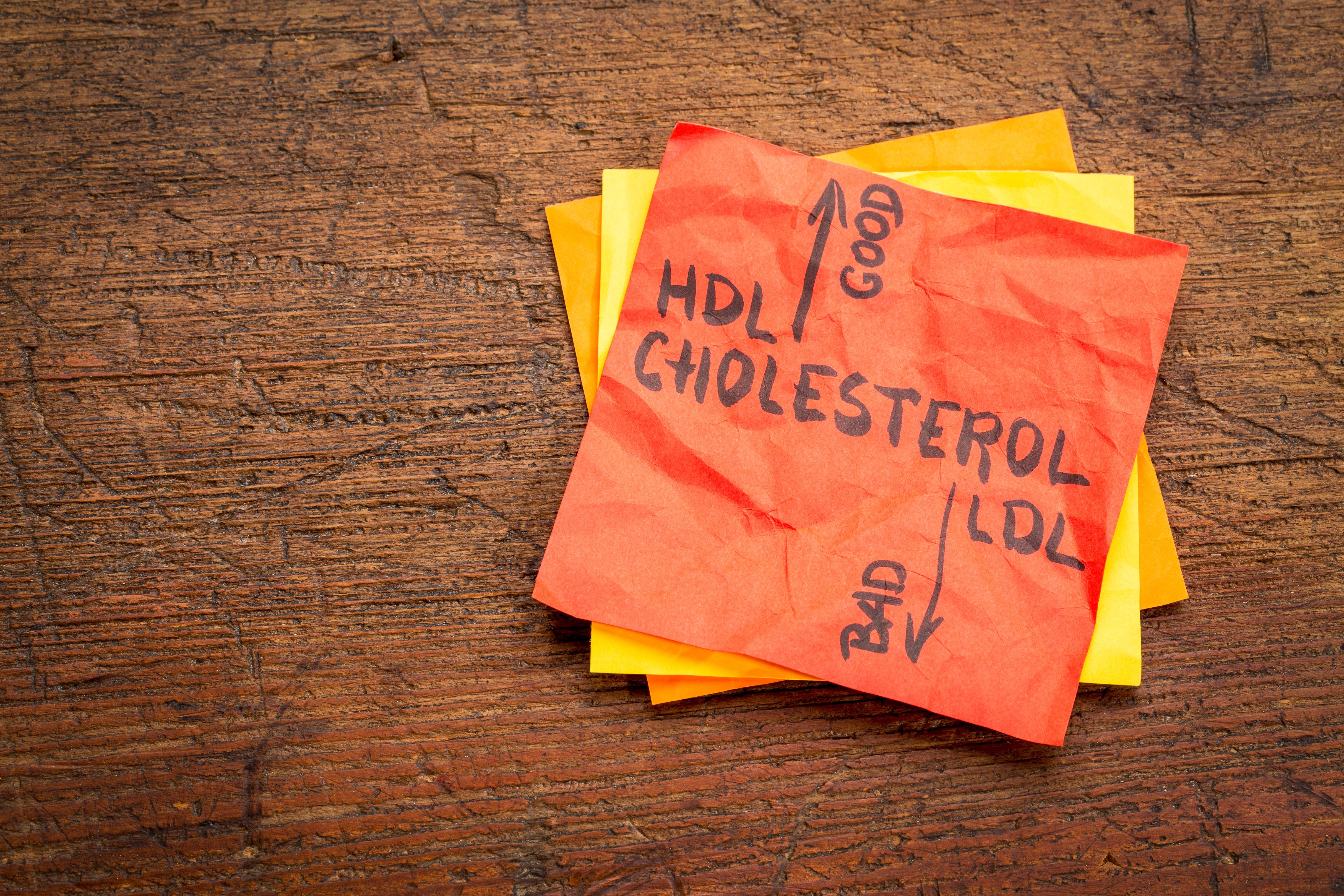 HDLコレステロールが低くなる原因とは