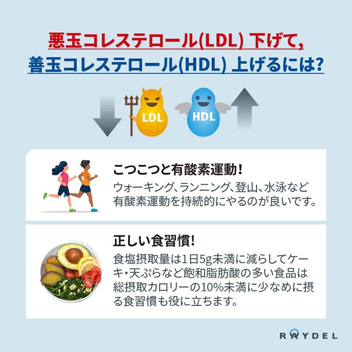 冬は心臓の健康に要注意 寒い季節はコレステロール値が高くなる レイデル オンラインショップ